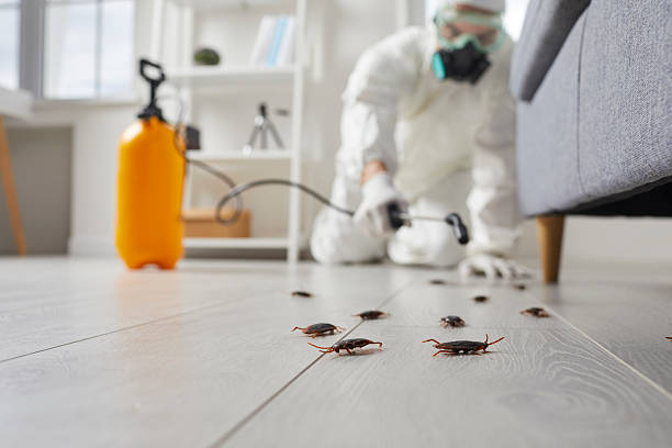 Commercial Kitchen Cockroach Control in Richland